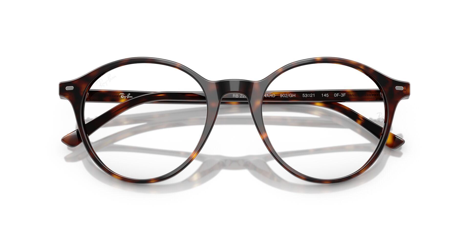 Ray-Ban Bernard RB2230 902/GH 53-4