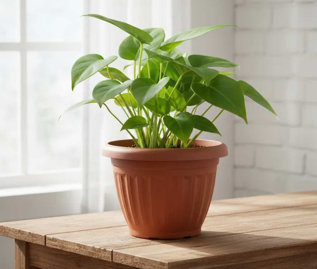 Macetero Pl stico 19x16 cm Redondo-2