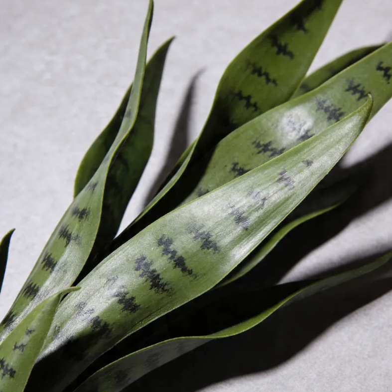 Planta Artificial Lengua De Suegra Decorativa 50cm Con Macetero-4