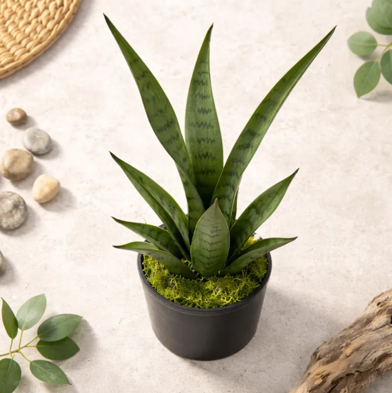 Planta Artificial Decorativa Sansevieria 40cm Con Macetero-2