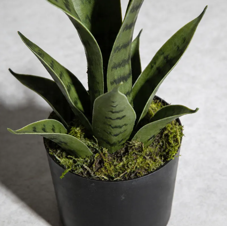 Planta Artificial Decorativa Sansevieria 40cm Con Macetero-6