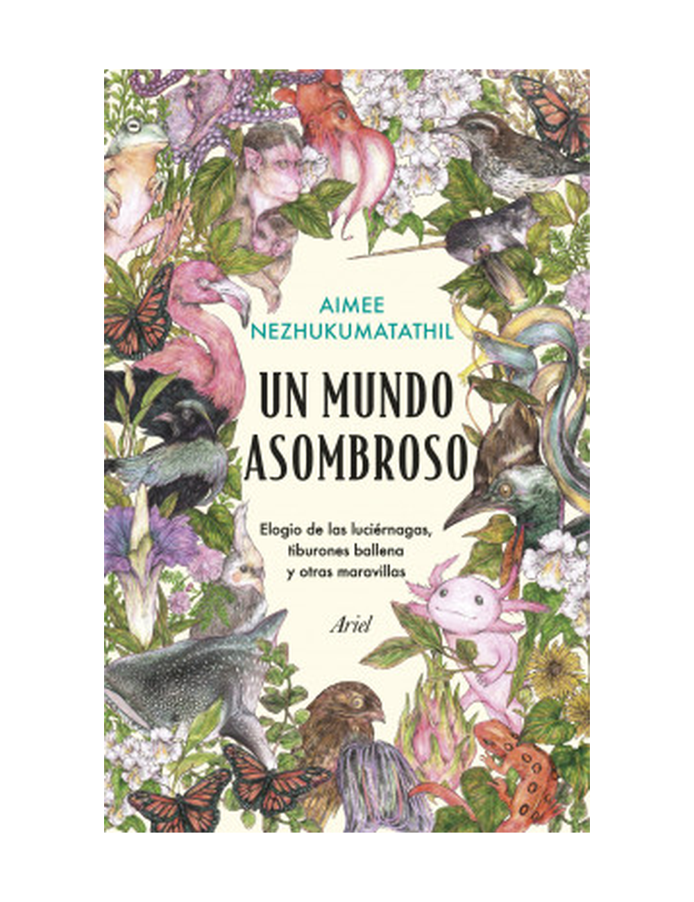 UN MUNDO ASOMBROSO-0