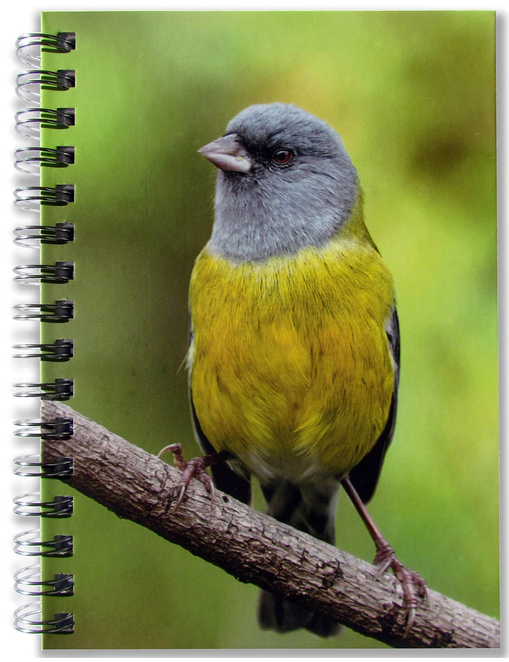 CUADERNO DE AVES DE CHILE COMETOCINO-0