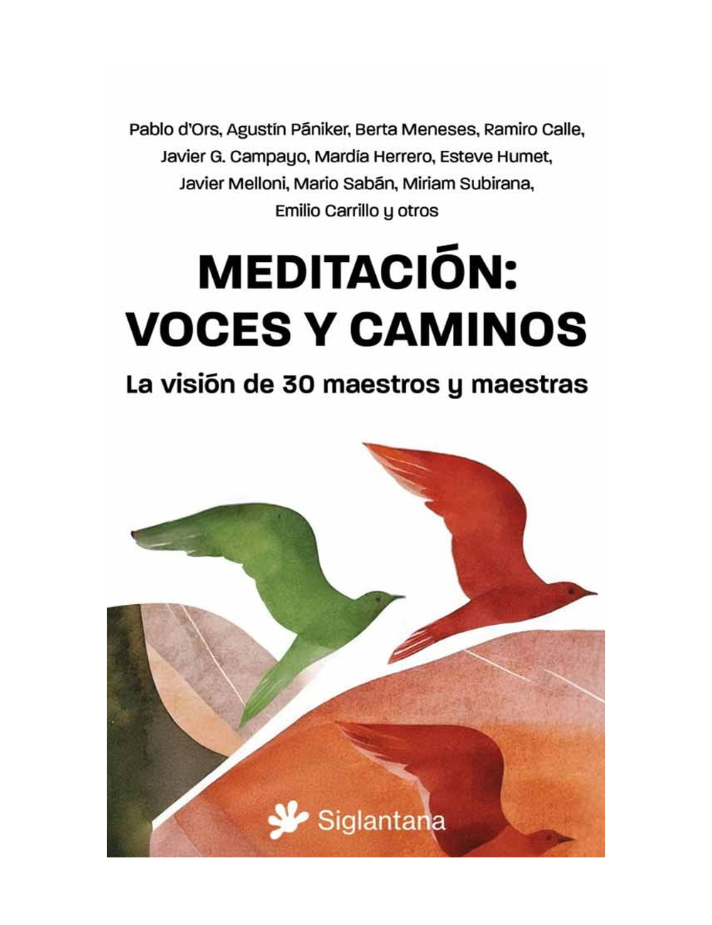 Meditación Voces y Caminos-0