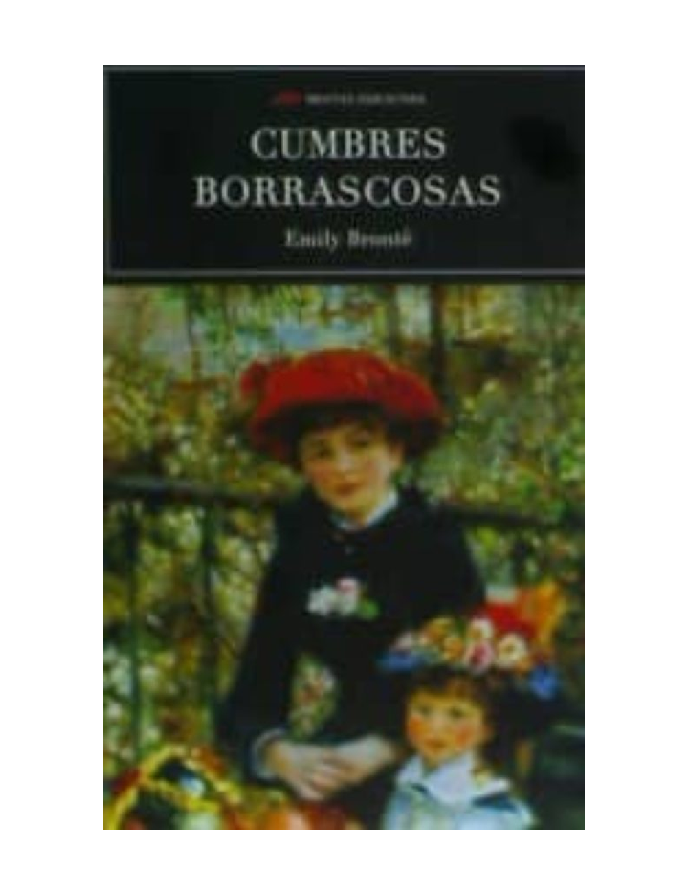 CUMBRES BORRASCOSAS (NVA. ED.)-0