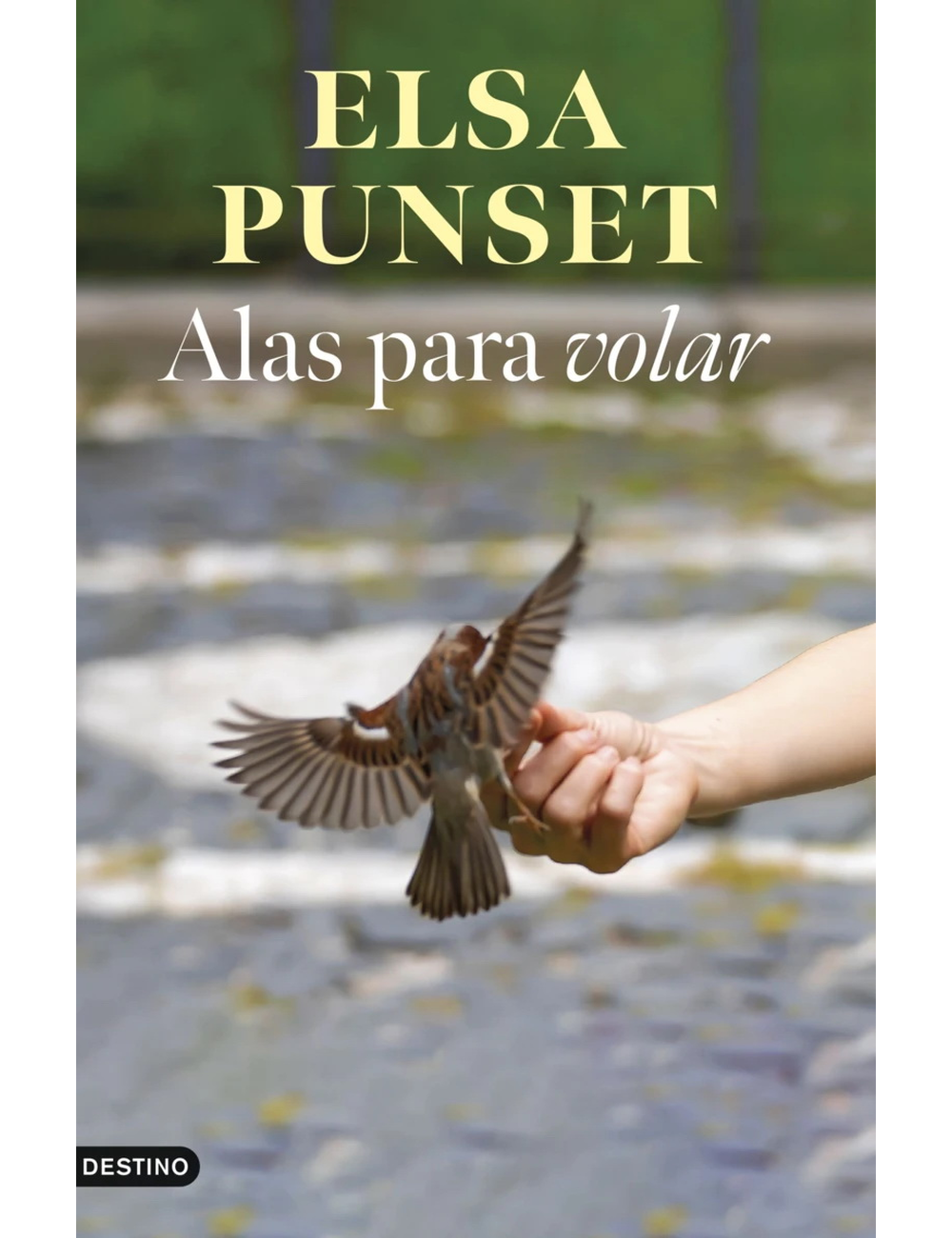 Imagen de producto