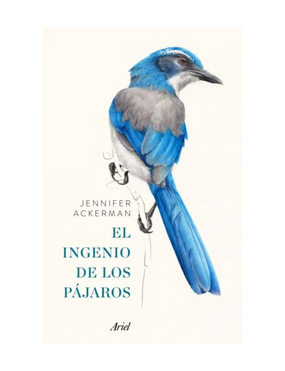 EL INGENIO DE LOS PAJAROS-0