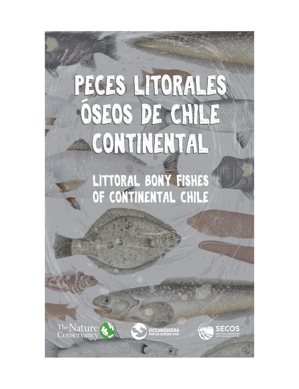 PECES LITORALES ÓSEOS DE CHILE CONTINENT-0
