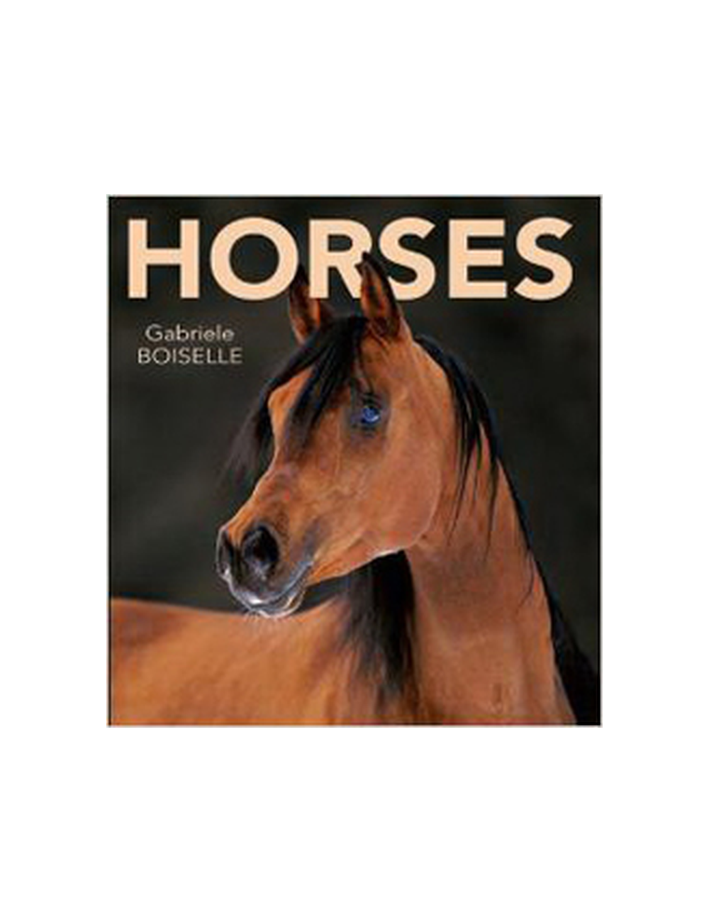 HORSES (ED 2013)-0