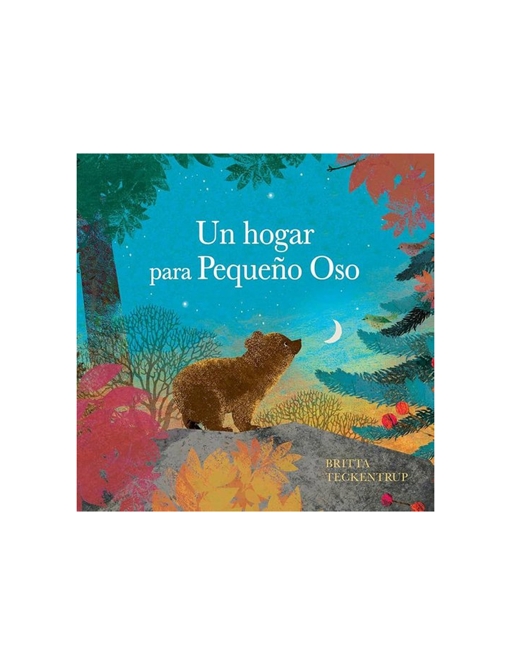 UN HOGAR PARA PEQUEÑO OSO-0