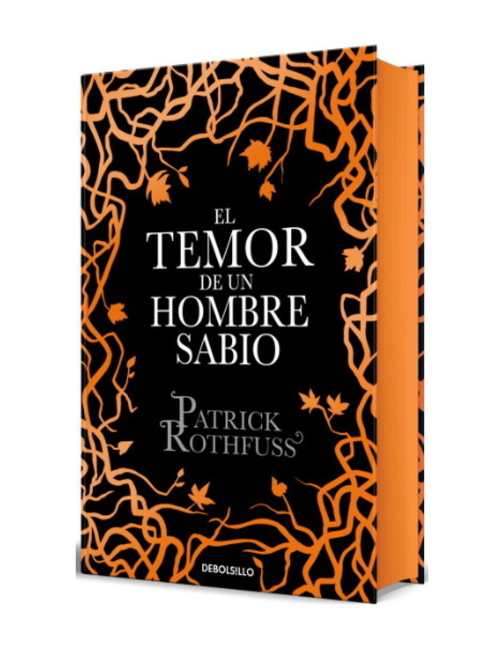 El Temor de un Hombre Sabio-0