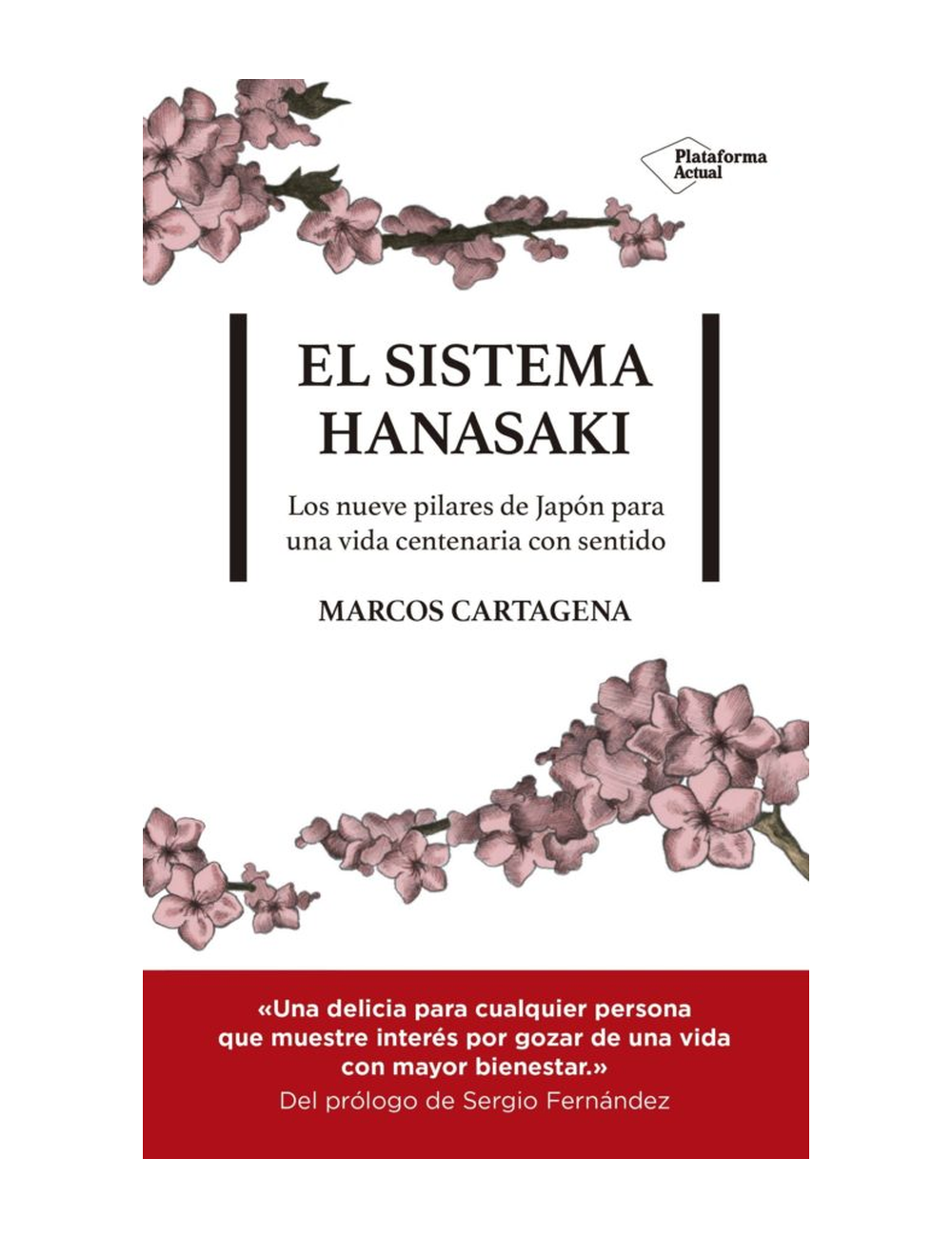 EL SISTEMA HANASAKI-0