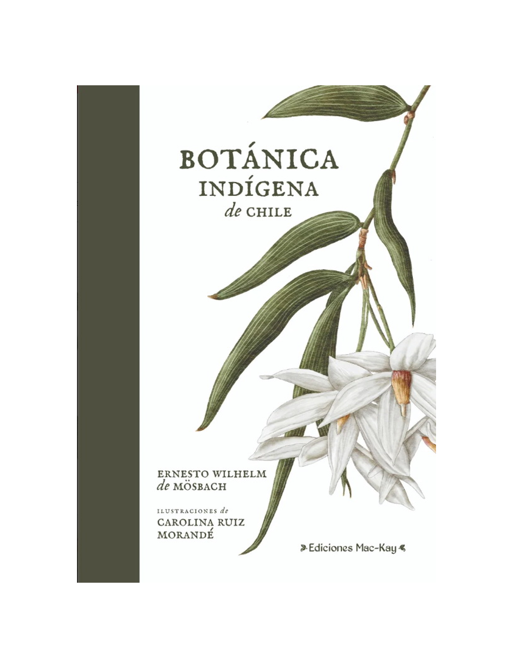 Botánica Indigena de Chile-0