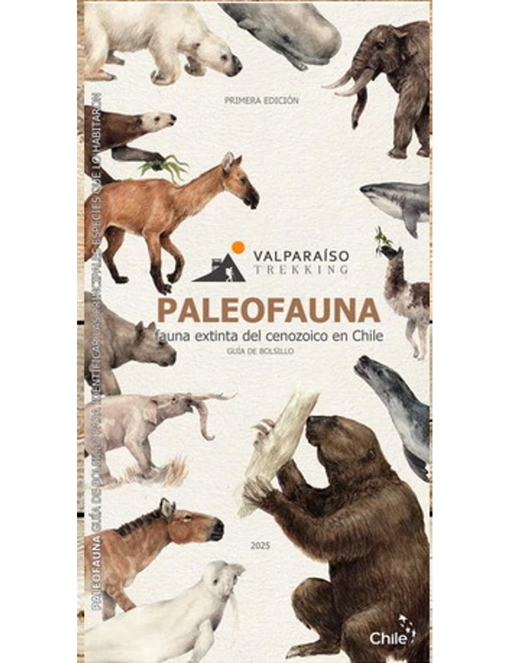GUIA PALEOFAUNA-0