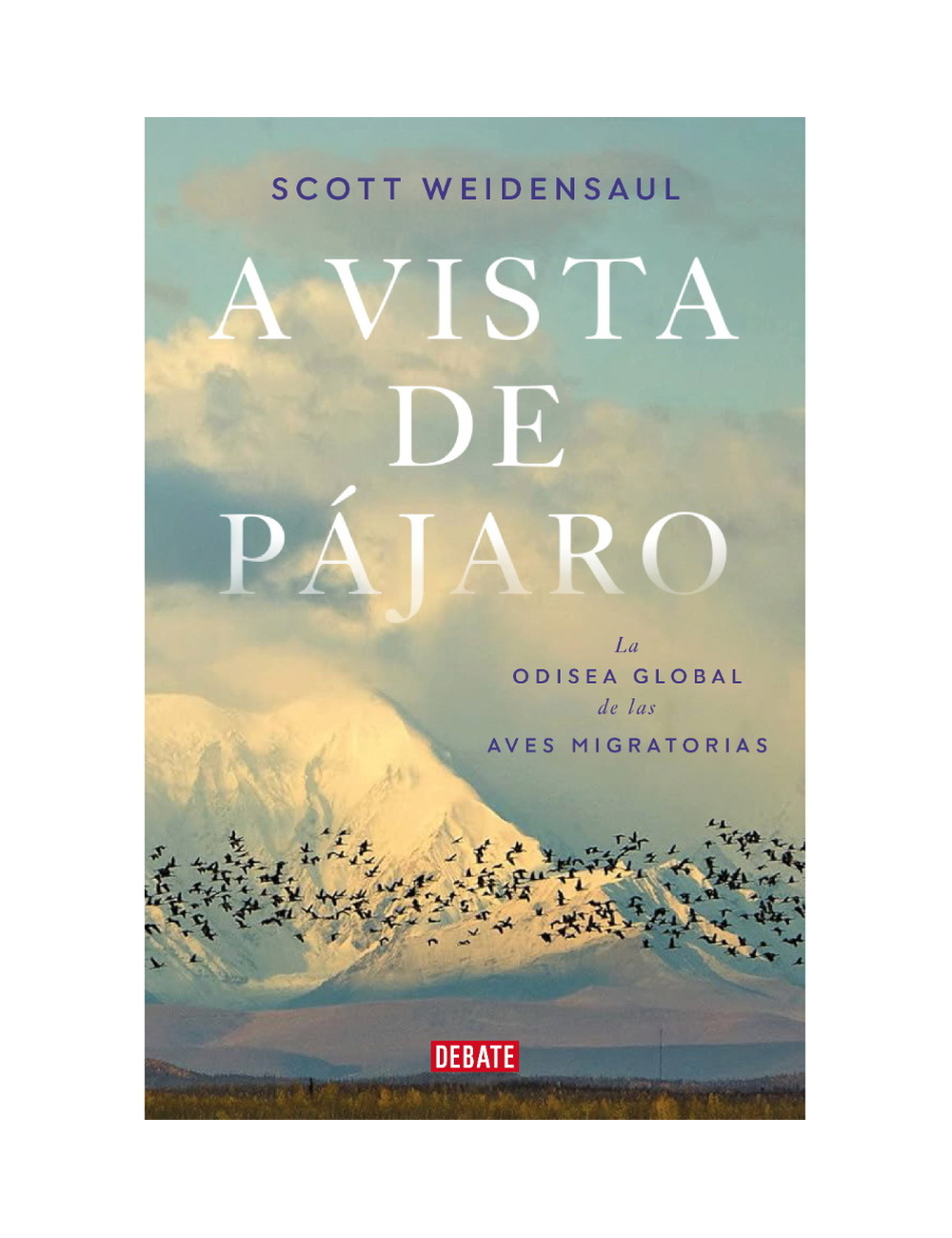 A Vista de Pájaro-0