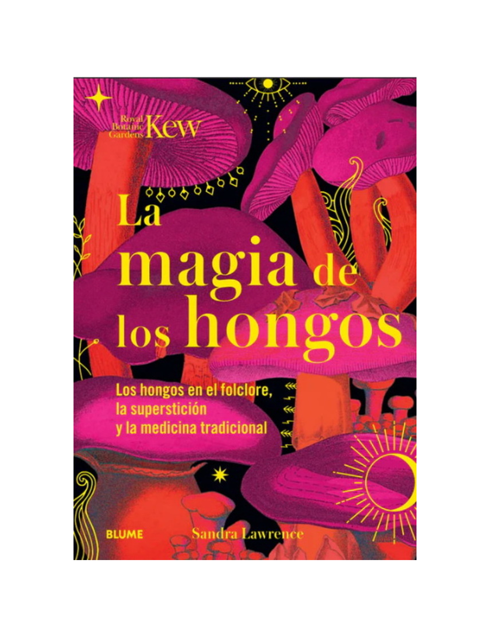 MAGIA DE LOS HONGOS-0