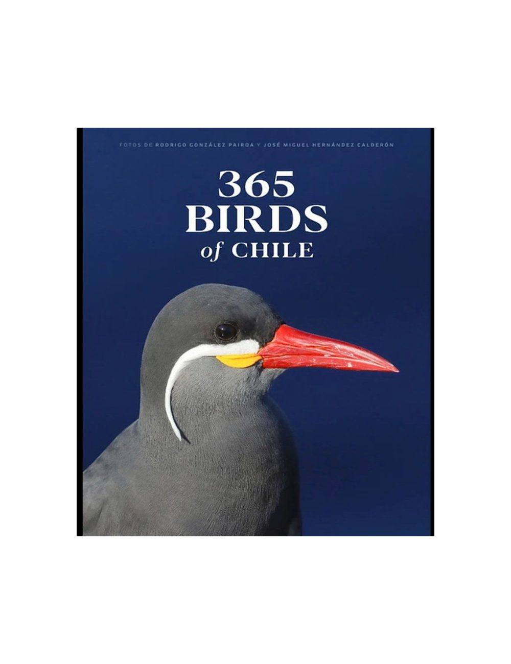365 Birds Of Chile-0
