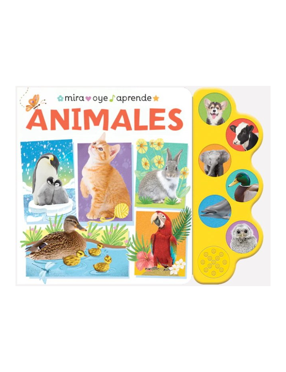 MIRA, OYE Y APRENDE - ANIMALES-0