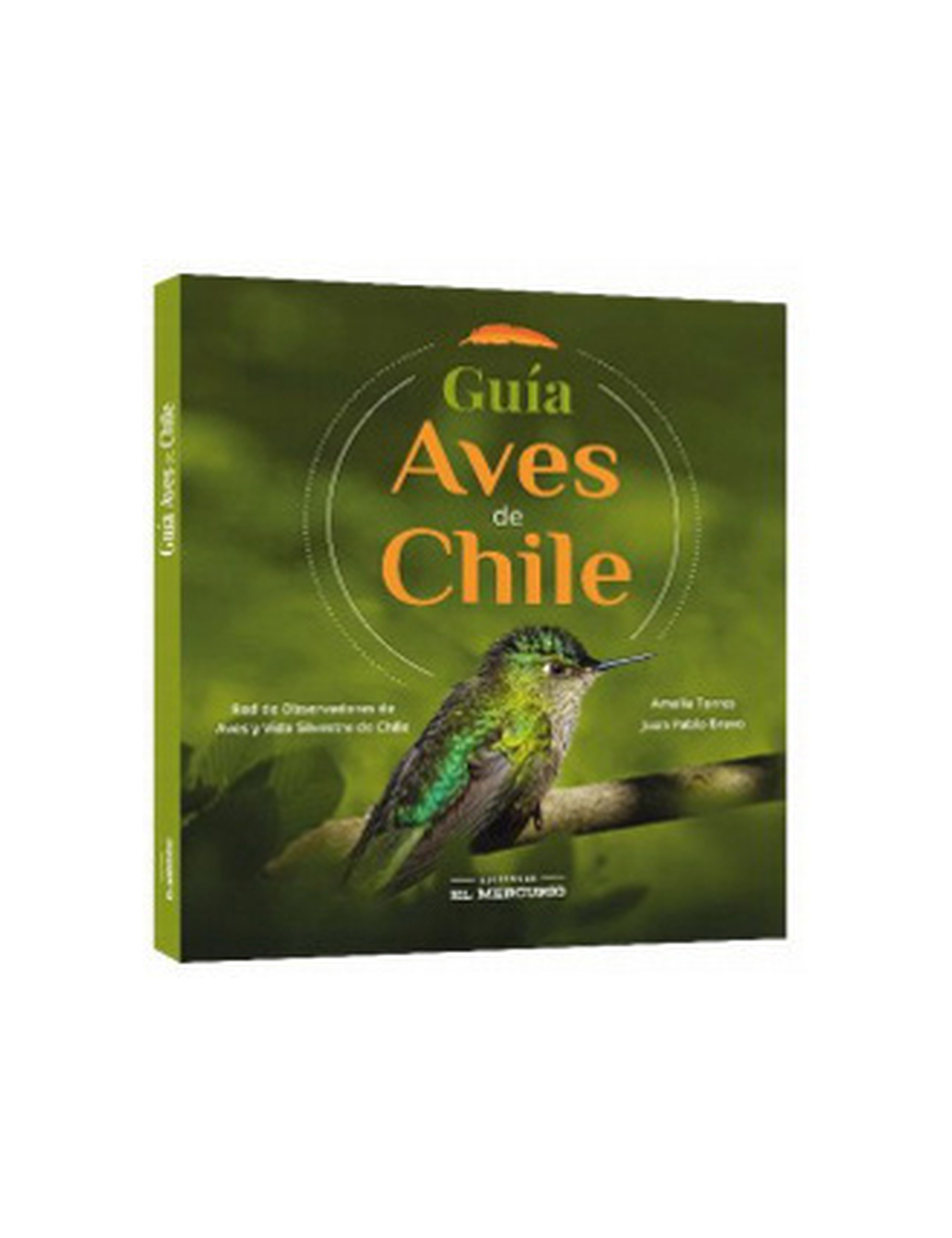 Guias de Aves de Chile-0