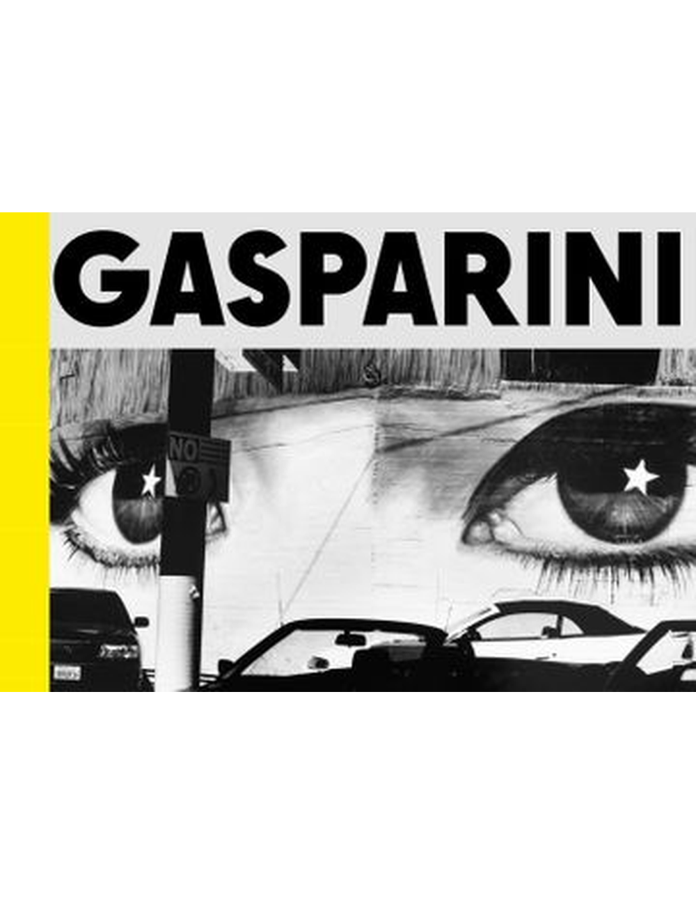 PAOLO GASPARINI. FIELD OF IMAGES-0