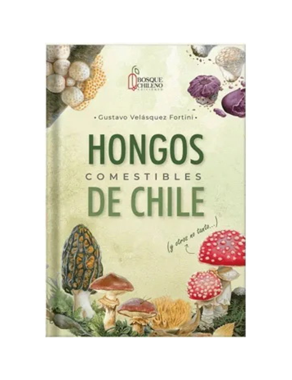 HONGOS COMESTIBLES DE CHILE-0