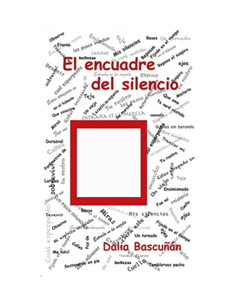 EL ENCUADRE DEL SILENCIO-0