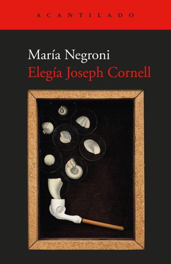 Elegia Joseph Cornell-0