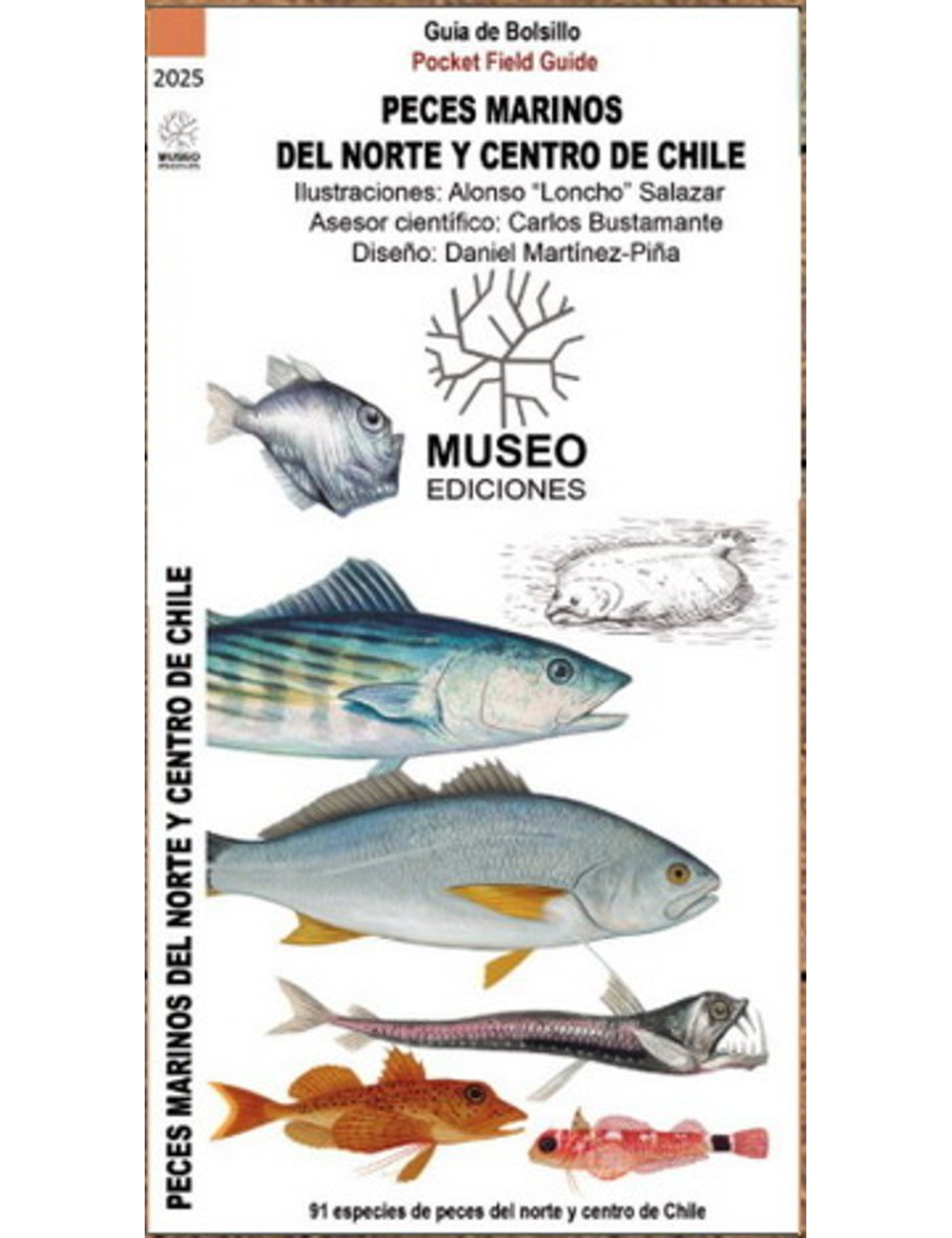 PECES MARINOS DEL NORTE Y CENTRO DE CHIL-0