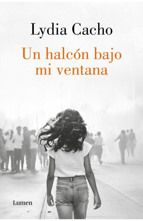 Un Halcon Bajo Mi Ventana-0
