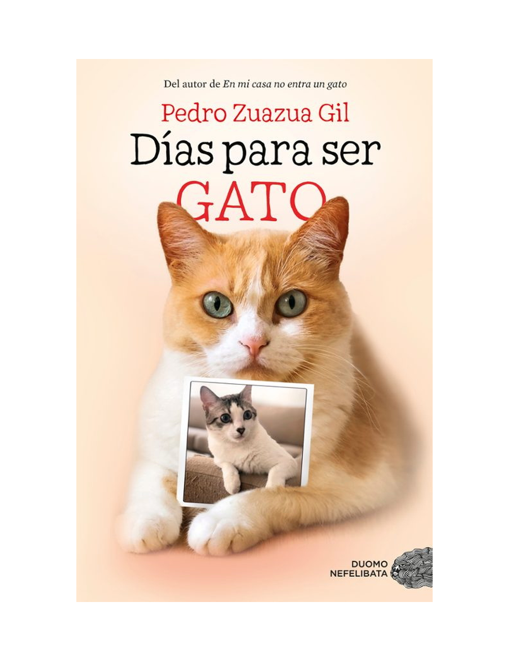 Días para Ser Gato-0