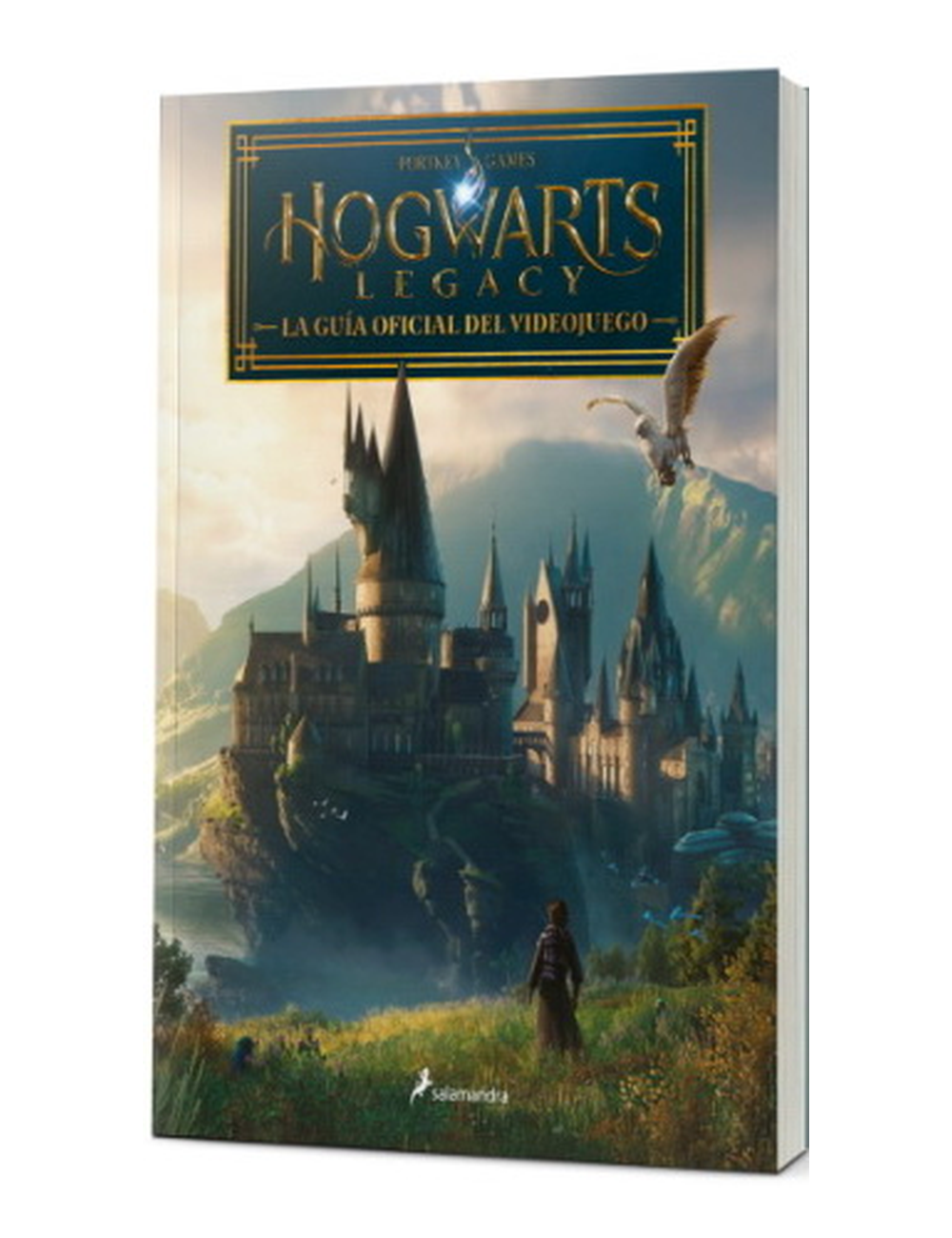 Hogwarts Legacy-0
