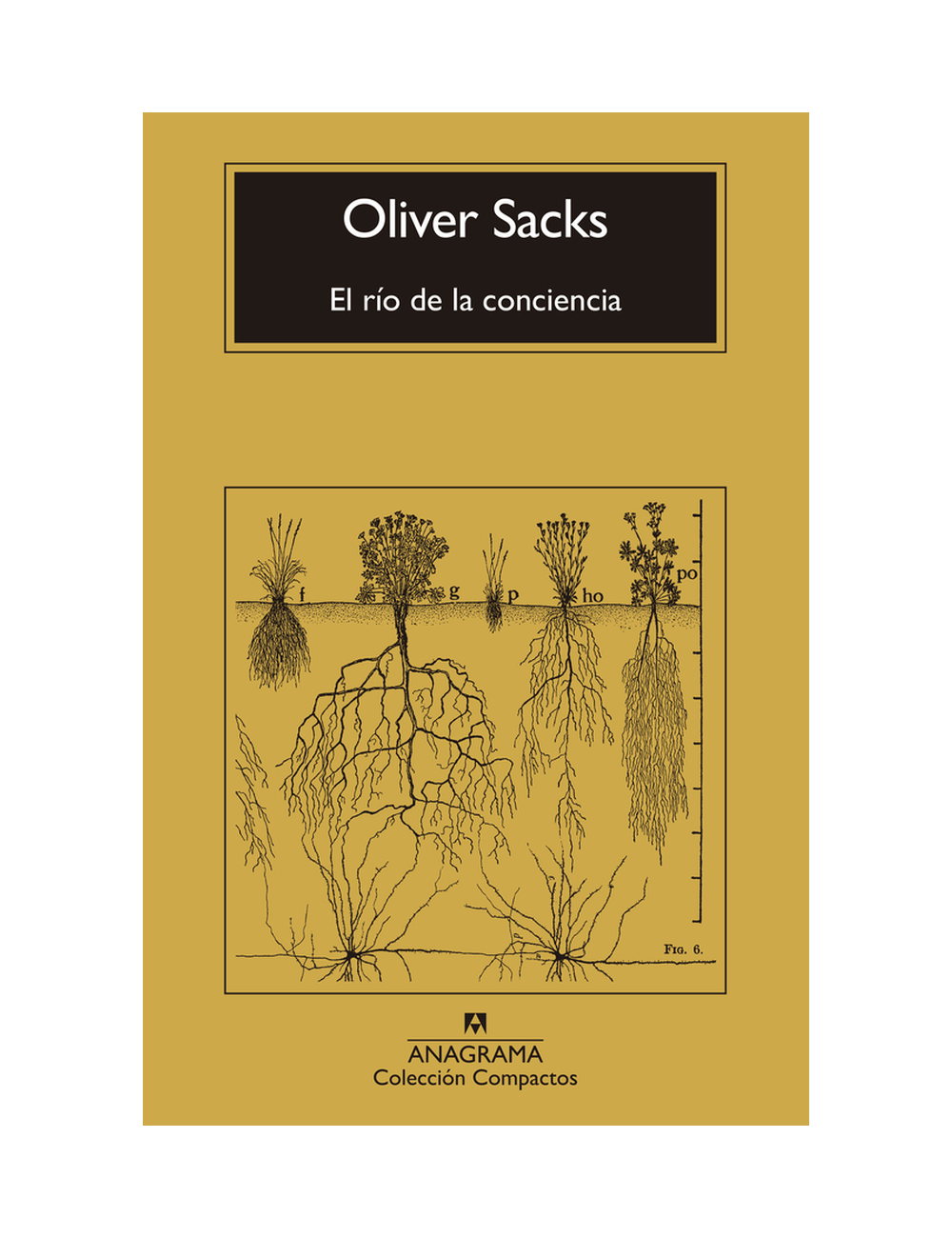 El Rio de la Conciencia-0