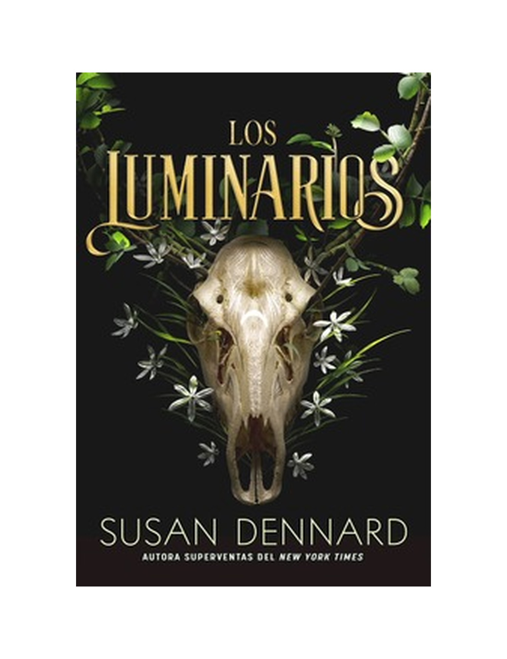LOS LUMINARIOS-0