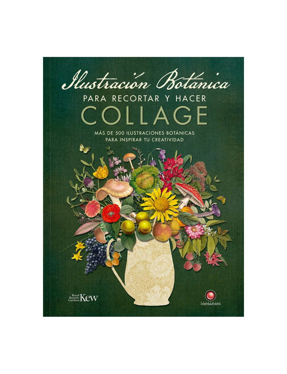 ILUSTRACION BOTANICA PARA RECORTAR Y HAC-0