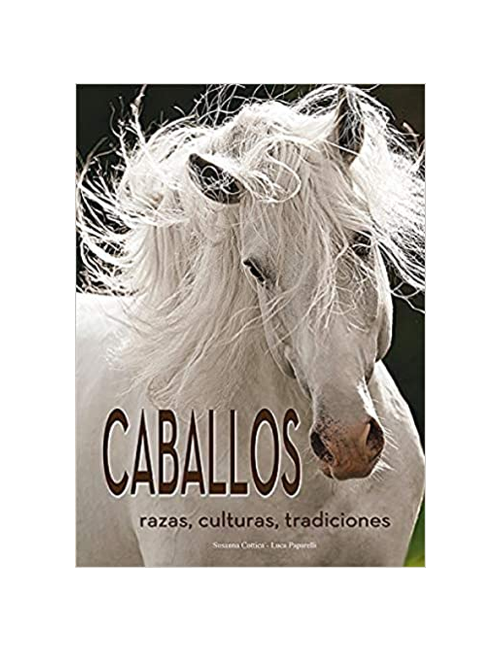 Caballos Razas y Procedencias-0