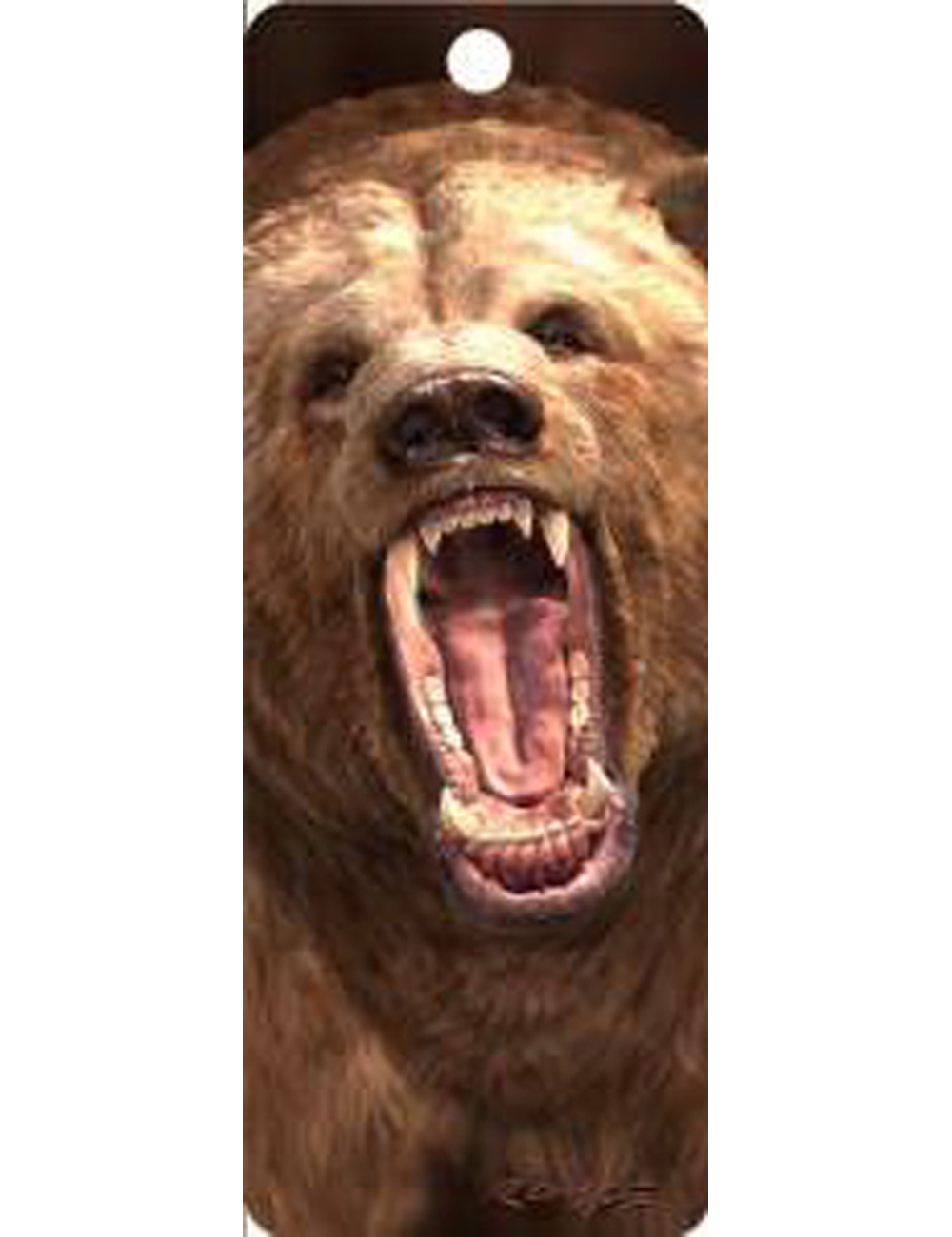 Marcapagina 3d Grizzly-0