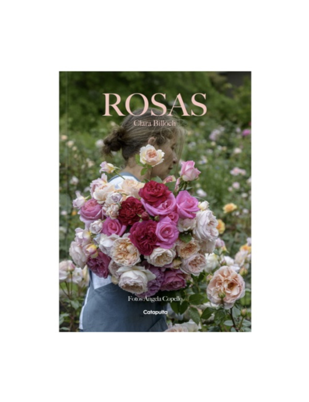 CLARA BILLOCH - ROSAS-0