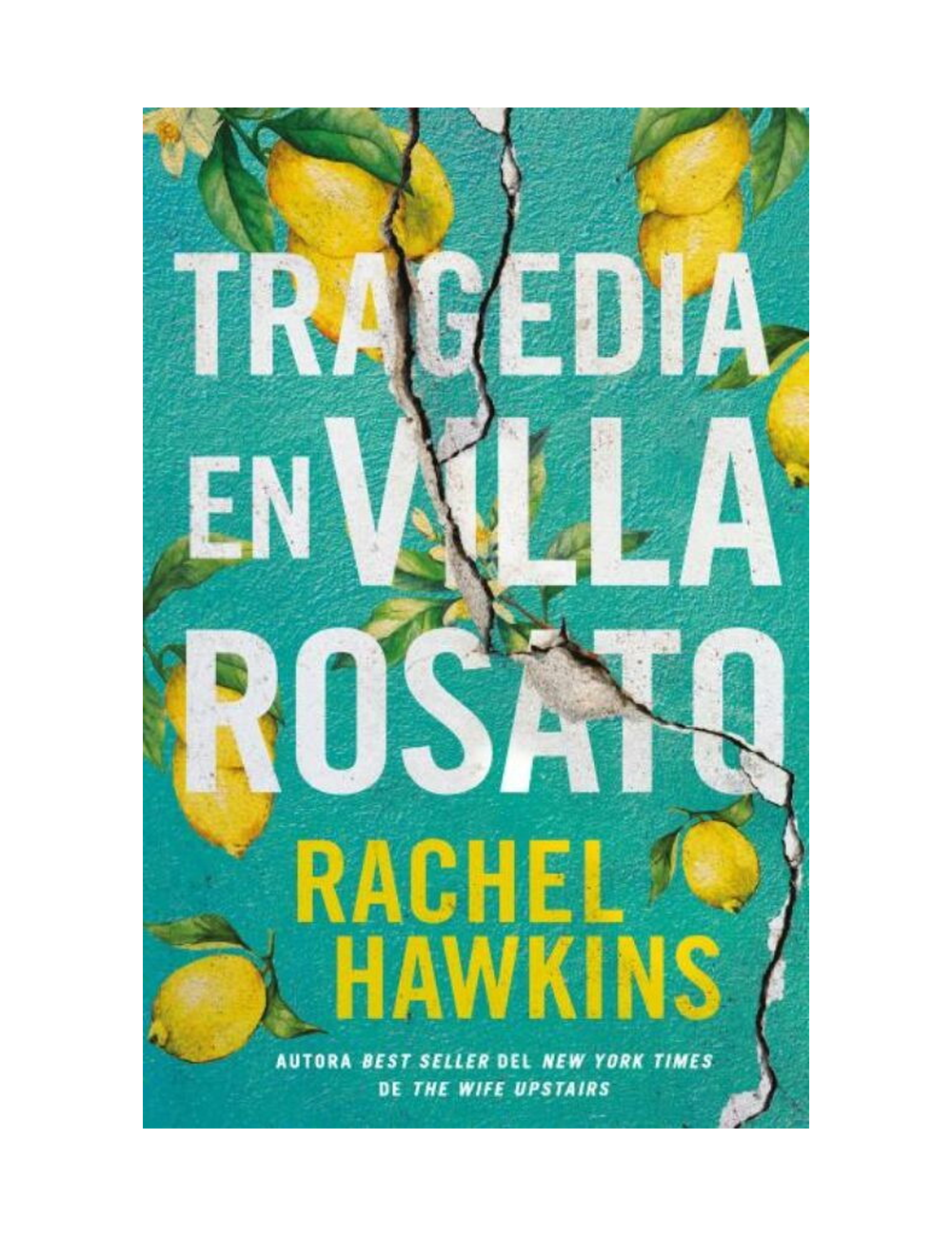 TRAGEDIA EN VILLA ROSATO-0