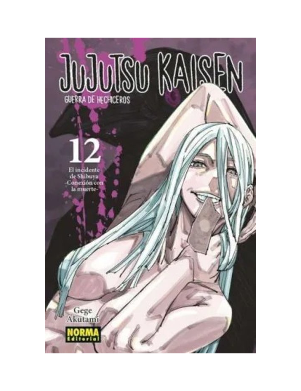 JUJUTSU KAISEN 12-0