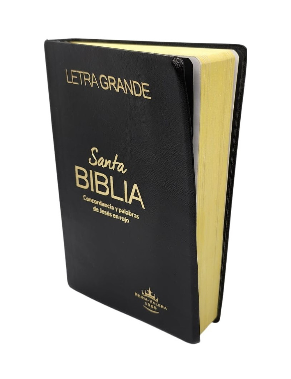 Biblia Rvroeclgpjr Per Petro-0