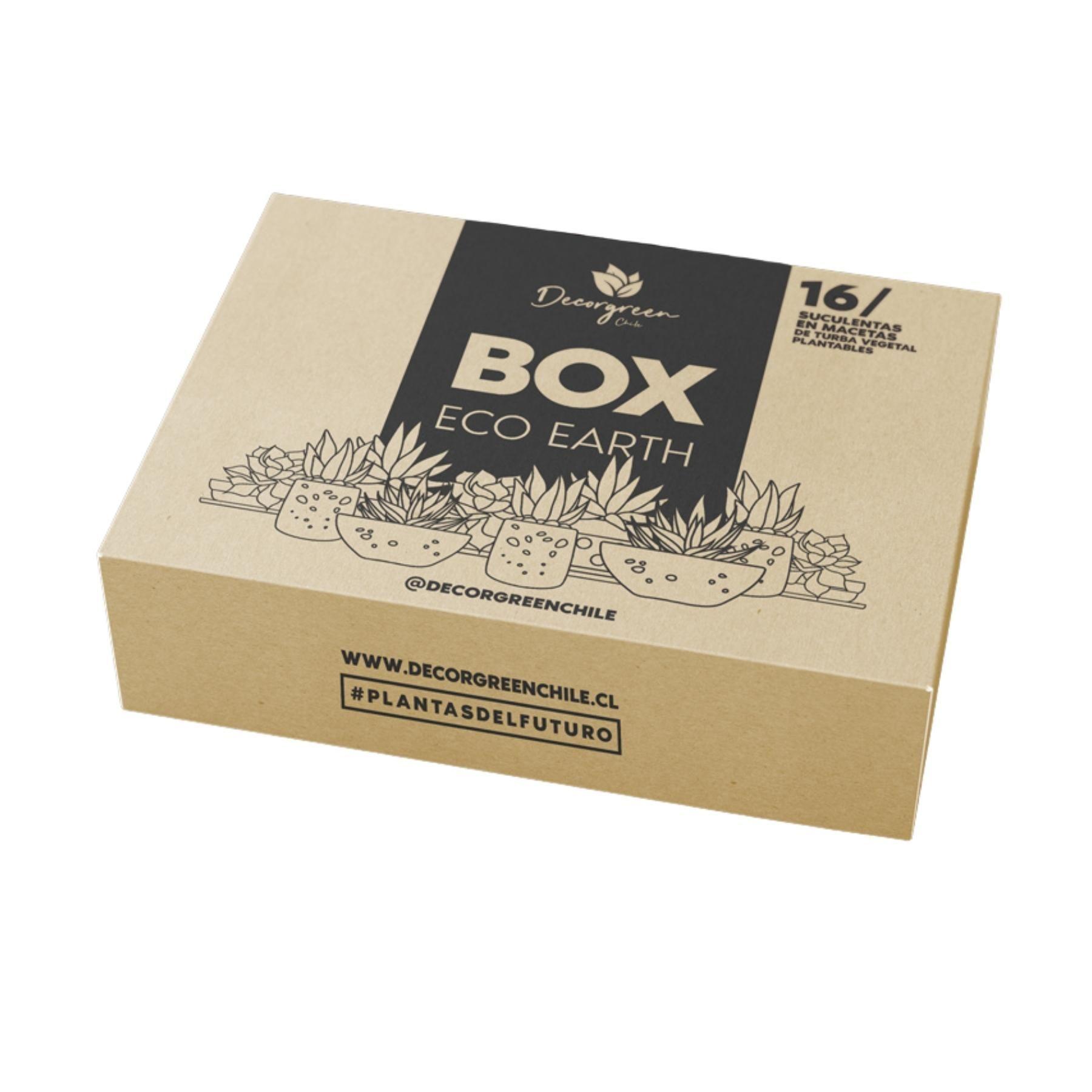 BOX DE SUCULENTAS ECO EARTH-0