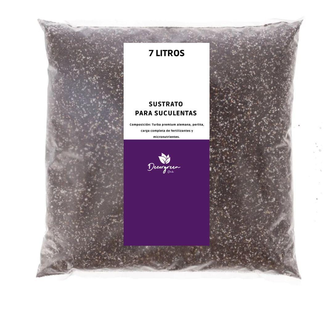 SUSTRATO PREMIUM PARA PLANTAS SUCULENTAS-0