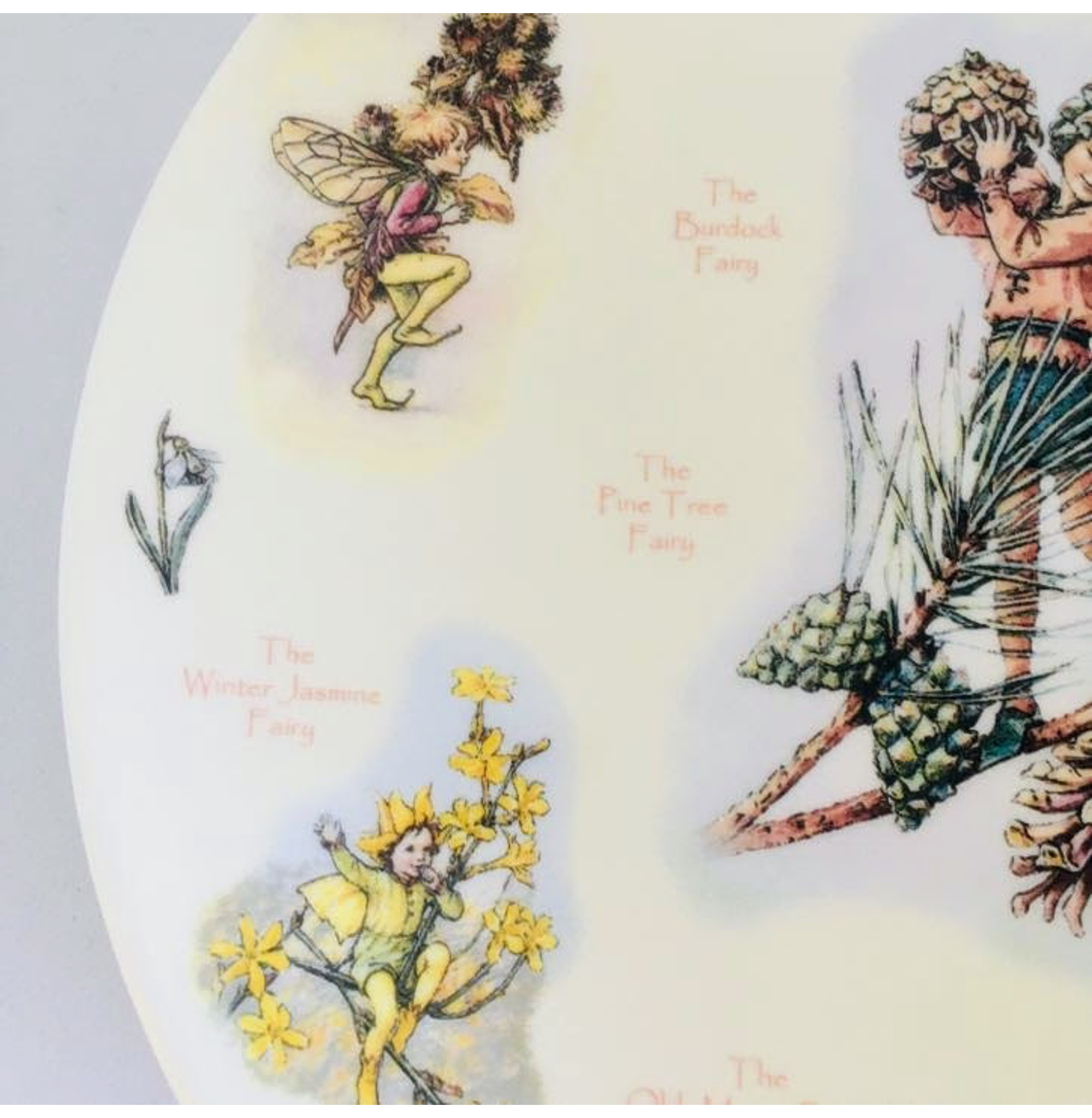 Plato decorativo serie 'Un calendario de hadas de las flores', Enero, (2002)-2