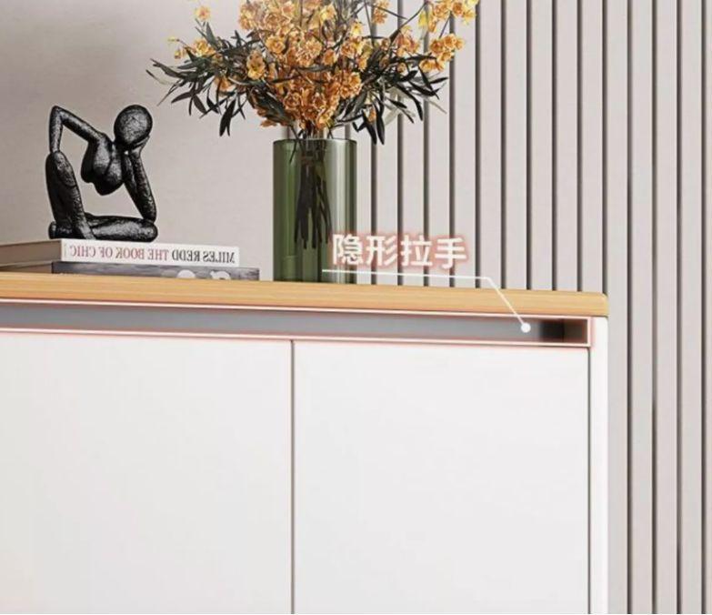 Zapatero Organizador Zapato Comoda Hall Entrada Homer Design-5