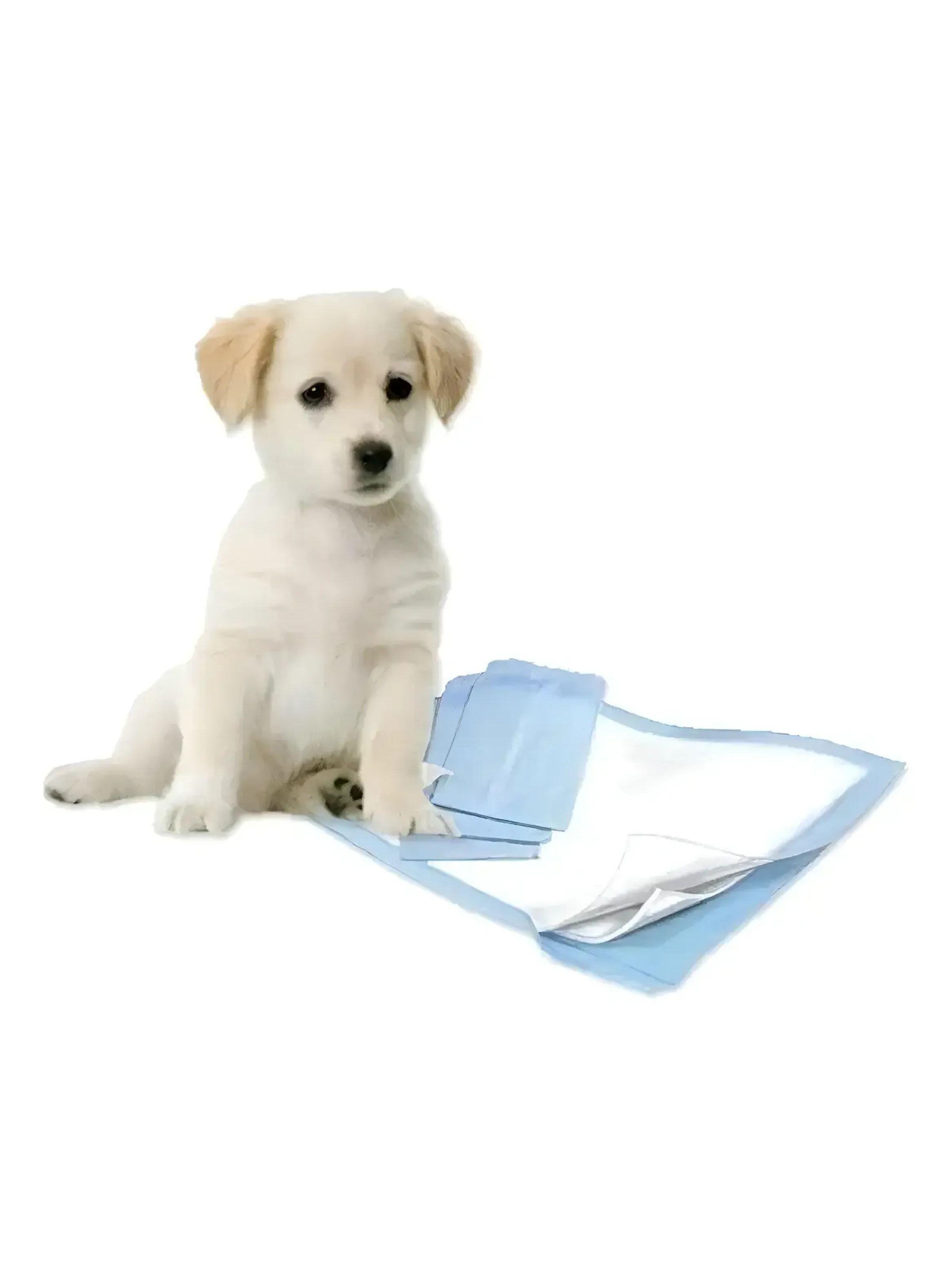 40 Pañales Sabanillas Grandes Mascotas 60x90cm Xl Con Aroma Y Adhesivo Por Su 4 Bordes Homer Design-2