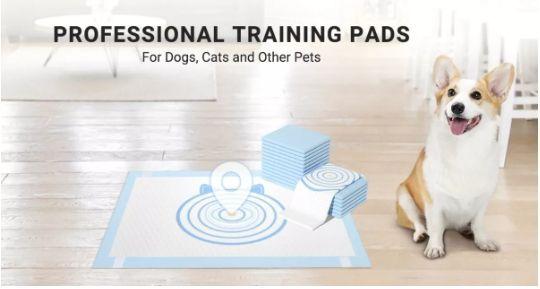 100 Pañales Sabanillas Marca Homer Design Con Objetivo Perro Mascota 60x60 Aroma Y Adhesivo Su 4 Bor-4