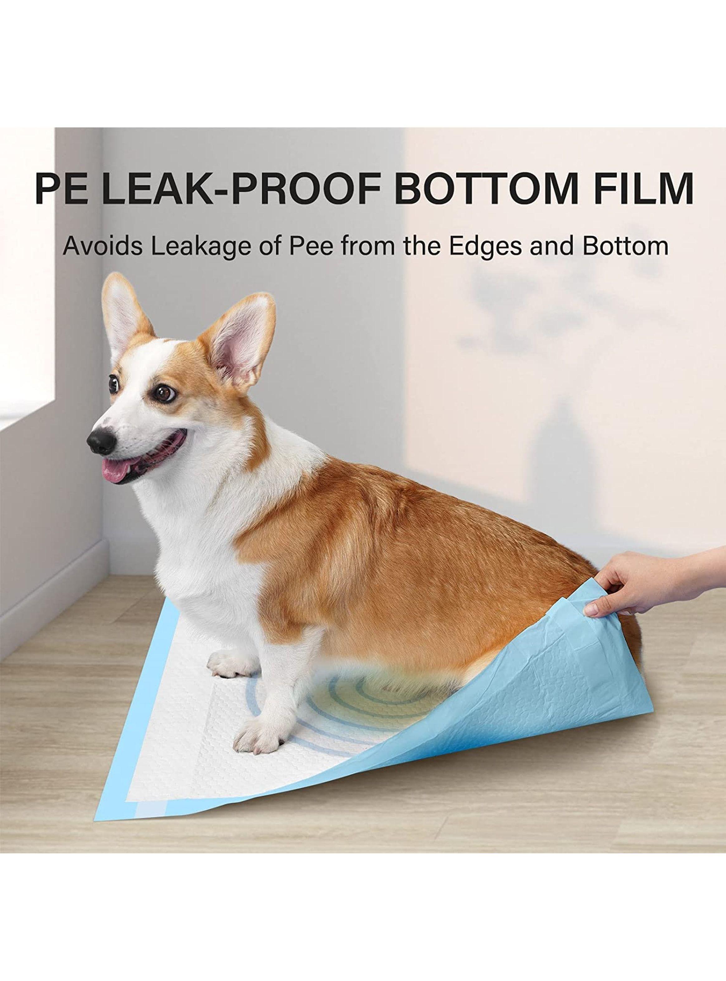100 Pañales Sabanillas Marca Homer Design Con Objetivo Perro Mascota 60x60 Aroma Y Adhesivo Su 4 Bor-3