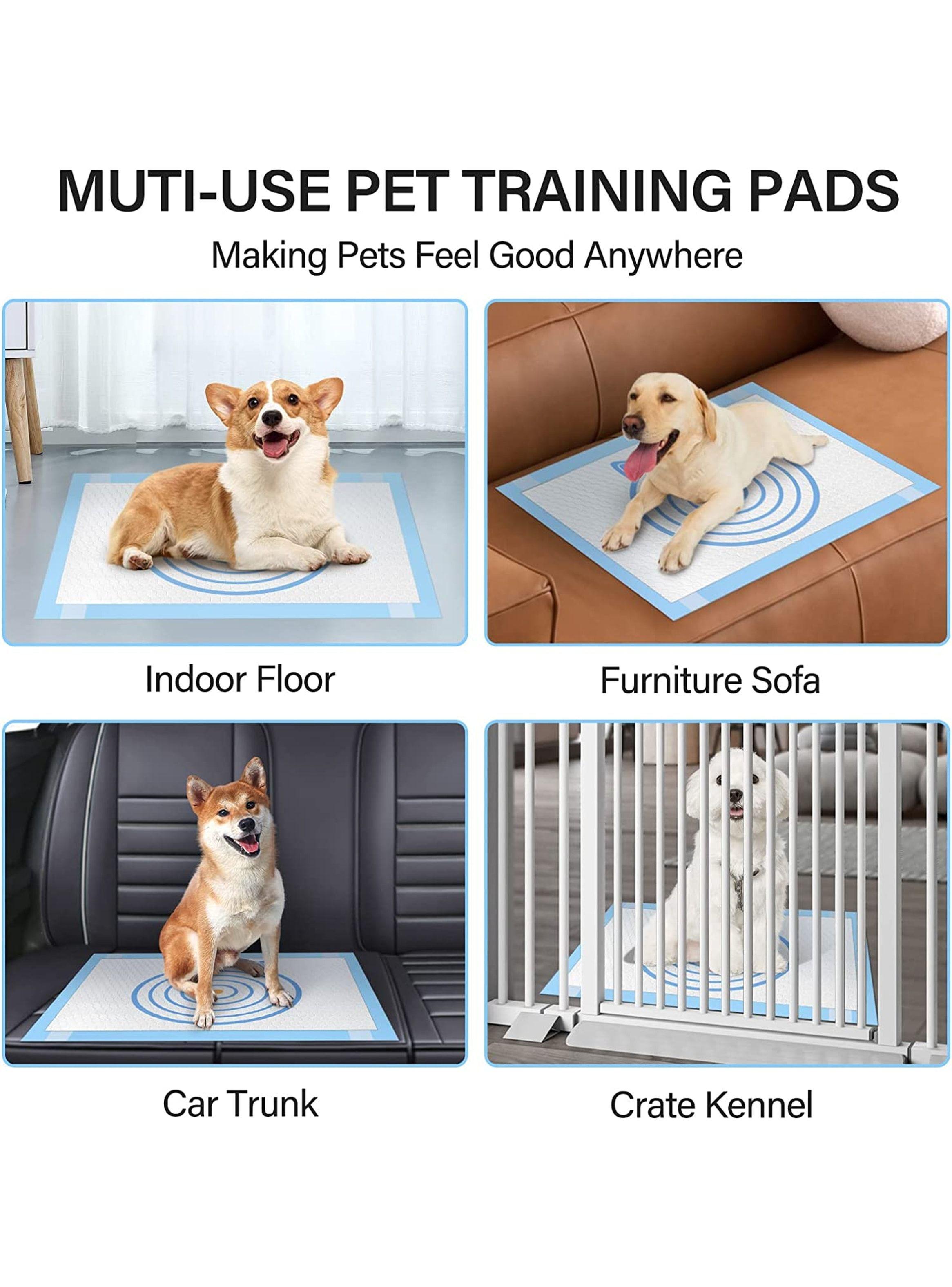 100 Pañales Sabanillas Marca Homer Design Con Objetivo Perro Mascota 60x60 Aroma Y Adhesivo Su 4 Bor-7