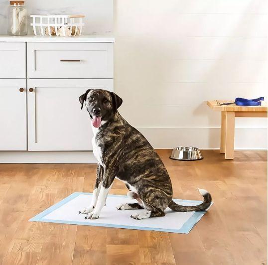 Puppy Shop 100 sabanillas desechables perros 45x60cm pañales-5