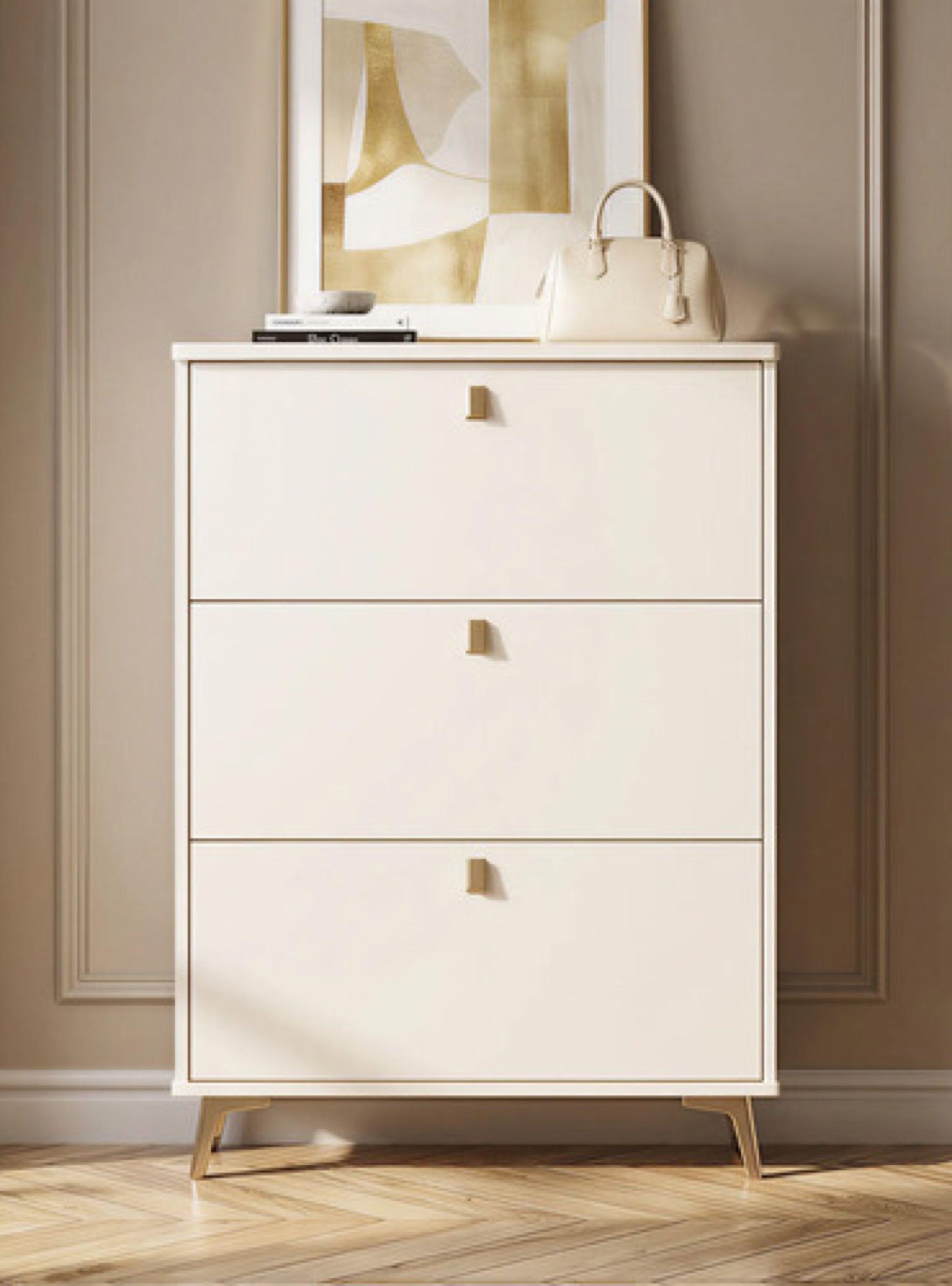 Zapatero Organizador Estante Hall Armario 110 Altox100x17cm-3